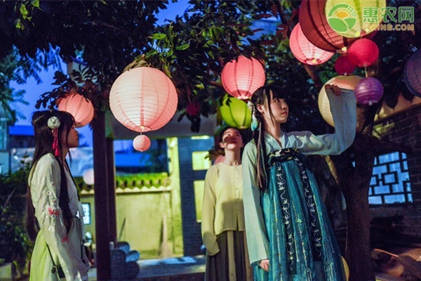 為什么要玩手機(jī)