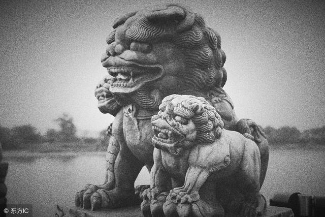 為什么學(xué)攝影