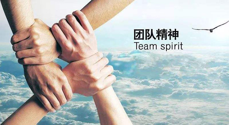 為什么需要團(tuán)隊(duì)