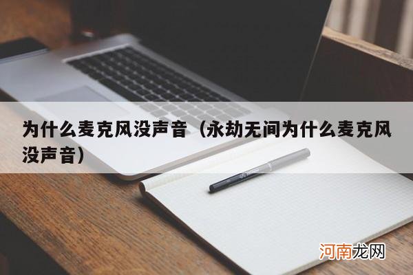 為什么麥克風(fēng)沒聲音