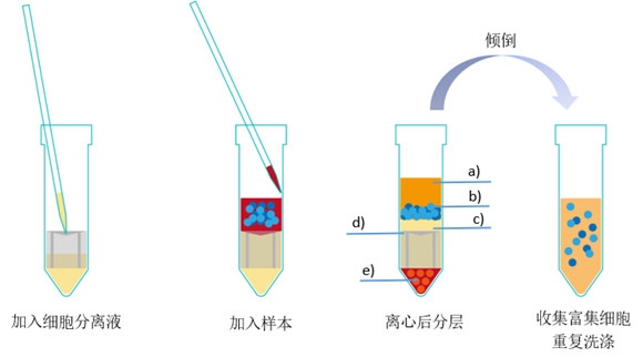 為什么要分離